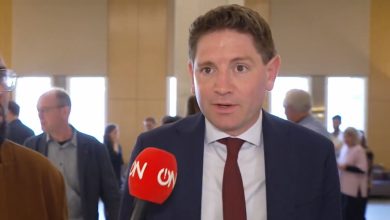 d66