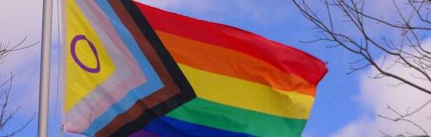Hijsen ‘vlag van het Vierde Rijk’ bij overheidsgebouwen zorgt voor veel irritatie: ‘Ga iets nuttigs doen’