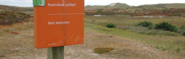 BBB wil deze prachtige bossen kappen voor stuifduinen: ‘Het is absurd!’