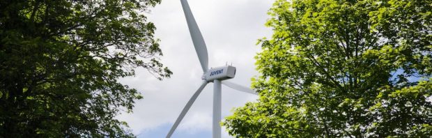 De bijna onvoorstelbare ellende veroorzaakt door windturbines: het is nog veel erger dan je denkt