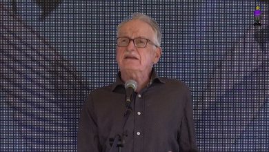 van der pijl