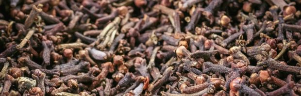 Vergeten onderzoek: 100 soorten kanker genezen in slechts 5 dagen met deze 3 natuurlijke middelen