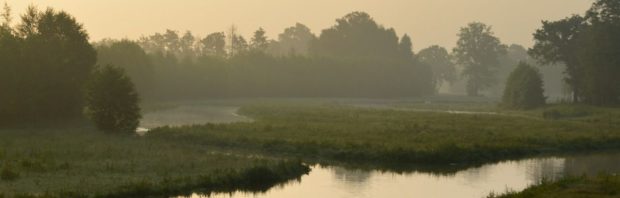 ‘De gevolgen hiervan zijn groot’: we mogen op slechts 25 procent van het land wonen, 50 procent wordt WILDERNIS