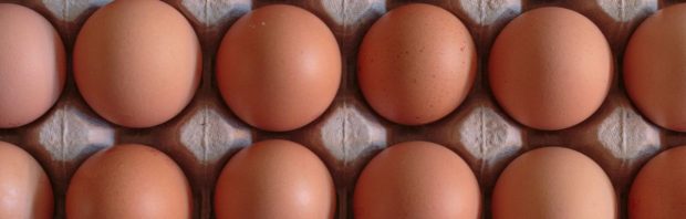 Ministerie van Landbouw vaccineert al maanden op experimentele basis kippen en mensen beginnen vragen te stellen