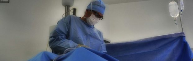 ‘Afschuwelijk’: ziekenhuizen halen organen uit patiënten die tekenen van leven vertonen en daar komt nu verandering in