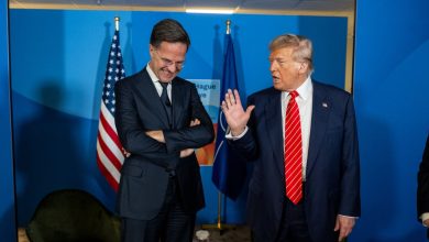rutte