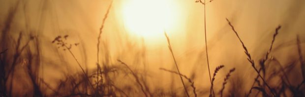 De zoektocht naar de hittegolven die het KNMI liet verdwijnen: ‘Deze verdwijntruc zou Hans Klok jaloers maken’