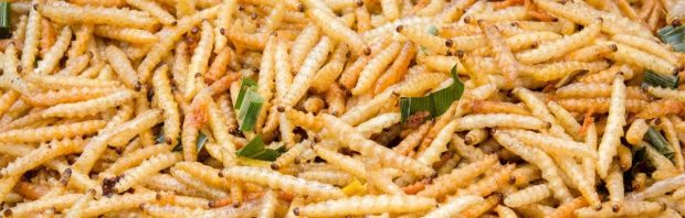 Europarlementariër waarschuwt: met de eiwitshift willen ze het mogelijk maken insecten in je eten te draaien