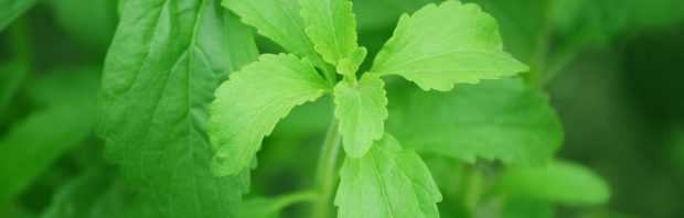 Deze suikervervanger is meer dan een zoetmaker, hij doodt kankercellen