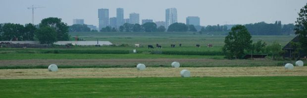 ‘Dat hele stikstofprobleem hebben we onszelf aangedaan, laten we daar heel duidelijk in zijn’