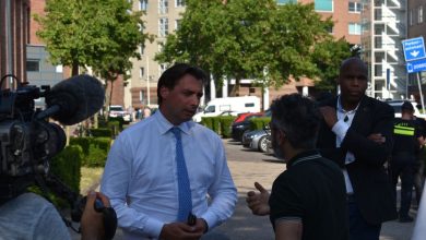 baudet