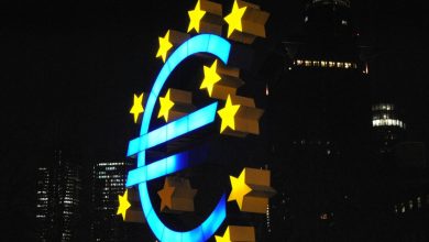 digitale euro