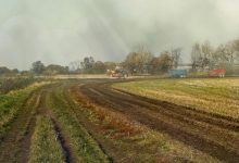 Ook als we ALLE menselijke activiteit elimineren is er te veel stikstof, luister wat de reactie van een ambtenaar is 5 ens