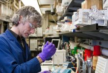 Veelgebruikte suikervervanger doodt kankercellen in lab na fermentatie 6 ru