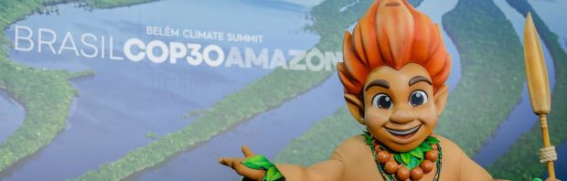 Klimaatconferentie COP30: eerst bomen kappen en dan vergaderen over redden van bomen: ‘Je kunt het echt niet verzinnen’