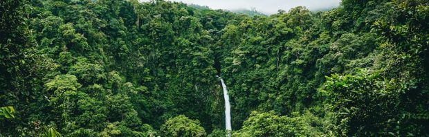 Amazonewoud gekapt om snelweg aan te leggen voor klimaattop: ‘Longen van de aarde geofferd op het altaar van klimaathypocrisie’