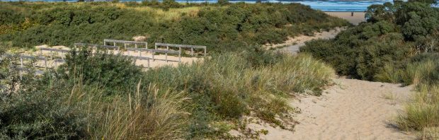 Uniek oud duinlandschap omgeploegd in het kader van “natuurherstel”: ‘Dit land is knettergek’
