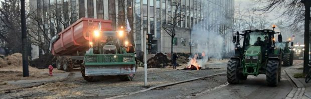 Frankrijk start massavaccinatie van runderen te midden van felle boerenprotesten tegen ruiming van vee