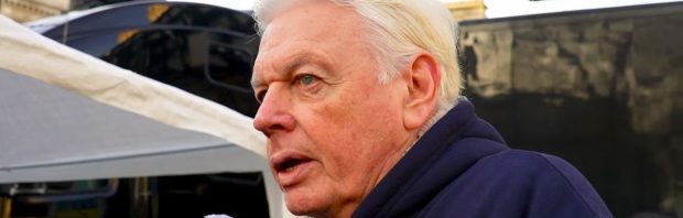 David Icke over digitale ID: ‘Hebben we de moed om onze macht terug te nemen?’