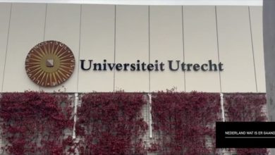 universiteit