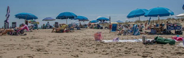 De grote vitamine D-misrekening