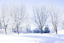 Snelle wereldwijde afkoeling buiten beeld 9 wi