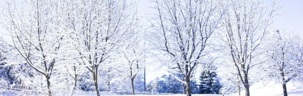 Snelle wereldwijde afkoeling buiten beeld