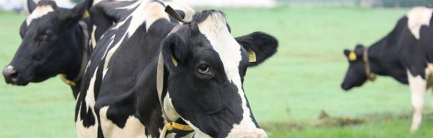 Luister (4 minuten): hoe boeren op basis van leugens van hun erven gejaagd worden