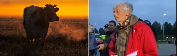 Stikstofactivist Vollenbroek zit ‘gewoon’ aan tafel om de provincie Utrecht te helpen boeren van hun land te verwijderen