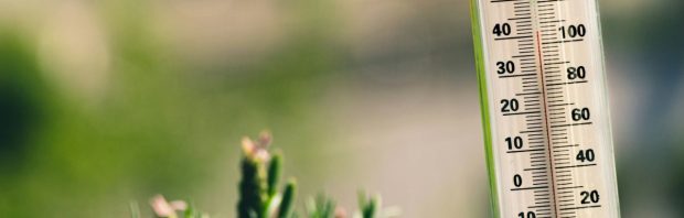 Zie video: ‘KNMI is wereldberoemd geworden dankzij het verspreiden van desinformatie’