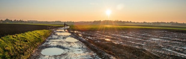 “Groene Maffia”: Ook in Noord-Holland moeten boeren wijken voor “nieuwe natuur”