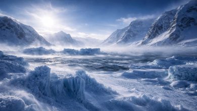 antarctica