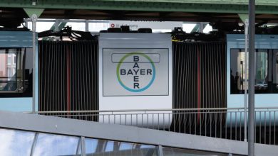 bayer
