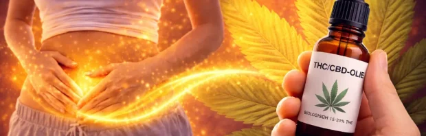 De verborgen strijd van 500.000 Nederlandse vrouwen: Hoe THC-olie een doorbraak forceert bij endometriose