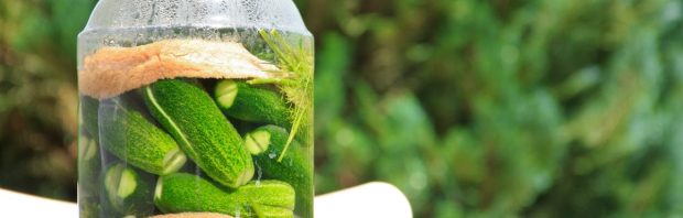 Gefermenteerd voedsel: waarom je darm dit al duizenden jaren nodig heeft