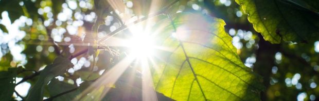 Vitamine D als ‘verborgen sleutel’ tegen allergieën? Arts ziet opvallend patroon bij patiënten