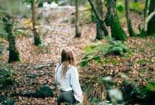 Bos baden werkt: zo doe je shinrin-yoku op zijn Nederlands