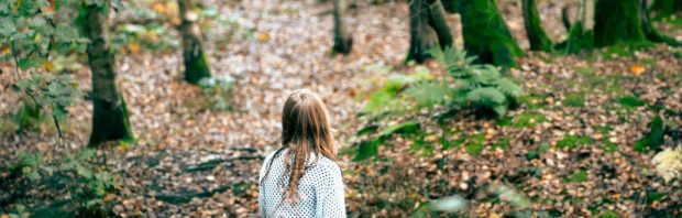 Bosbaden werkt: zo doe je shinrin-yoku op zijn Nederlands