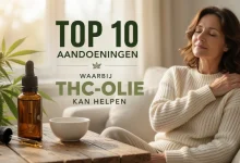 De THC-Olie Catalogus