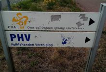 Deze burgemeester werkt niet mee aan nieuwe noodopvang voor asielzoekers: 'Het is een zelf veroorzaakte crisis'
