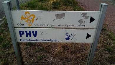 Deze burgemeester werkt niet mee aan nieuwe noodopvang voor asielzoekers: 'Het is een zelf veroorzaakte crisis'