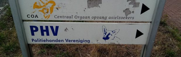 Deze burgemeester werkt niet mee aan nieuwe noodopvang voor asielzoekers: ‘Het is een zelf veroorzaakte crisis’
