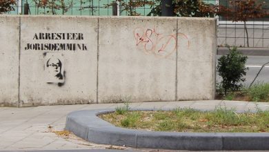 demmink