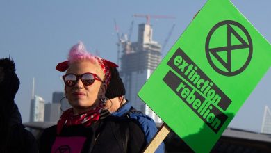 Klimaatactivisten blokkeren spoor en krijgen ruim baan: 'Da's toch bizar, de overheid die strafbare feiten faciliteert?'