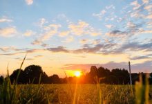 Ochtendzonlicht energie: hoe 5 minuten buiten je hele dag verandert