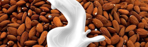 Plantaardige melk vergelijken: welke past écht bij jou?