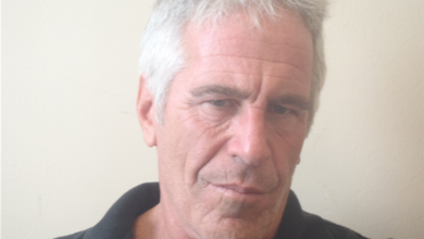 Thüringse AfD-leider wil onderzoek naar Pizzagate en Duitse connecties in Epstein-netwerk