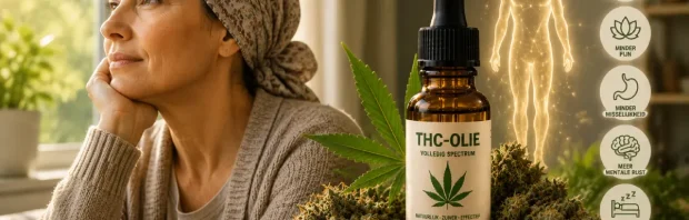 Gekozen voor ‘regulier’ bij kanker? Waarom THC-olie tóch een doorslaggevende helper kan zijn