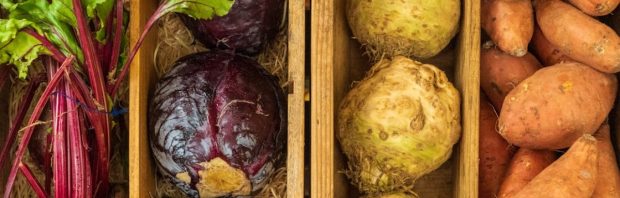 Akkerbouwer legt in 4 minuten uit waarom je eten zo duur is (en steeds duurder wordt)