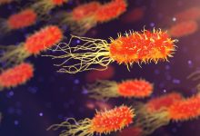 Verlaten biolab in Oekraïne, bewijs van Amerikaanse biolabs Oekraïne